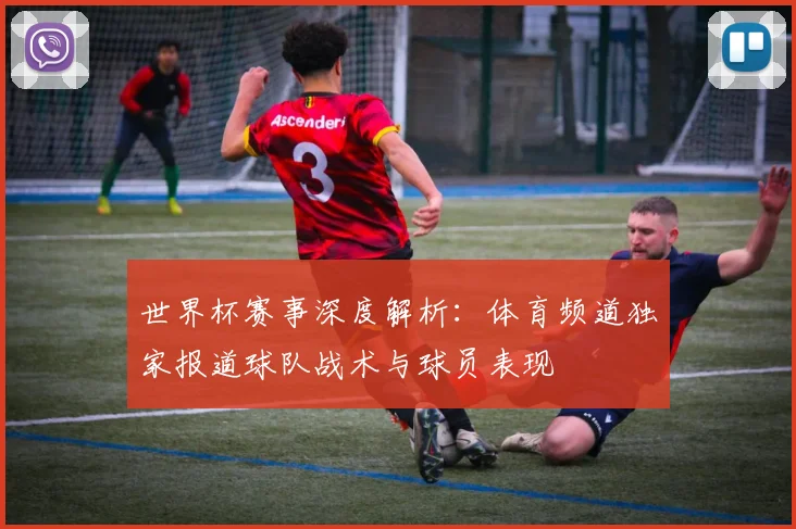世界杯赛事深度解析：体育频道独家报道球队战术与球员表现