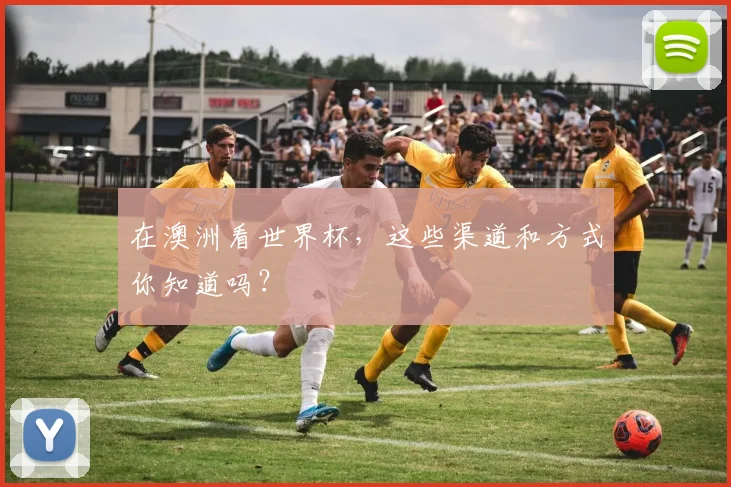 在澳洲看世界杯,这些渠道和方式你知道吗?