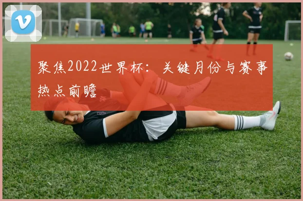 聚焦2022世界杯：关键月份与赛事热点前瞻