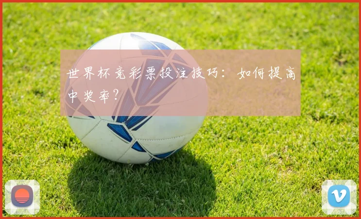 世界杯竞彩票投注技巧：如何提高中奖率？